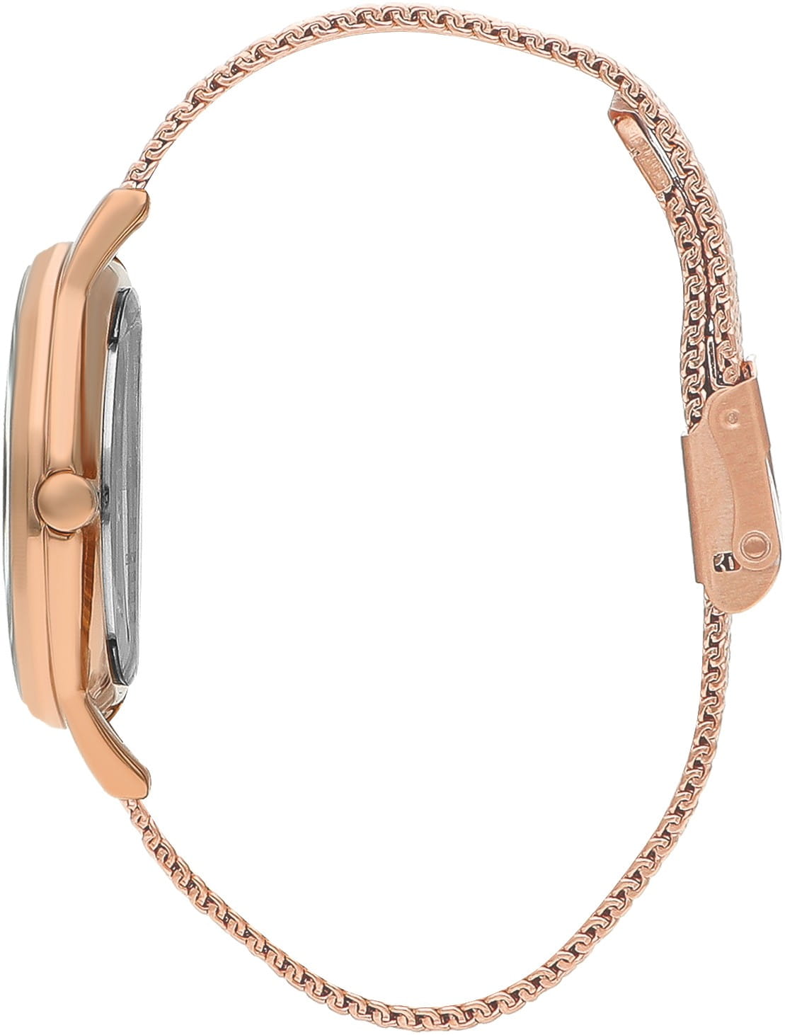 Beverly Hills Polo Club Beverly Hills Polo Club BP3394C.430,  сша женские часы на браслете нержавеющая сталь с ip-покрытием боковой вид