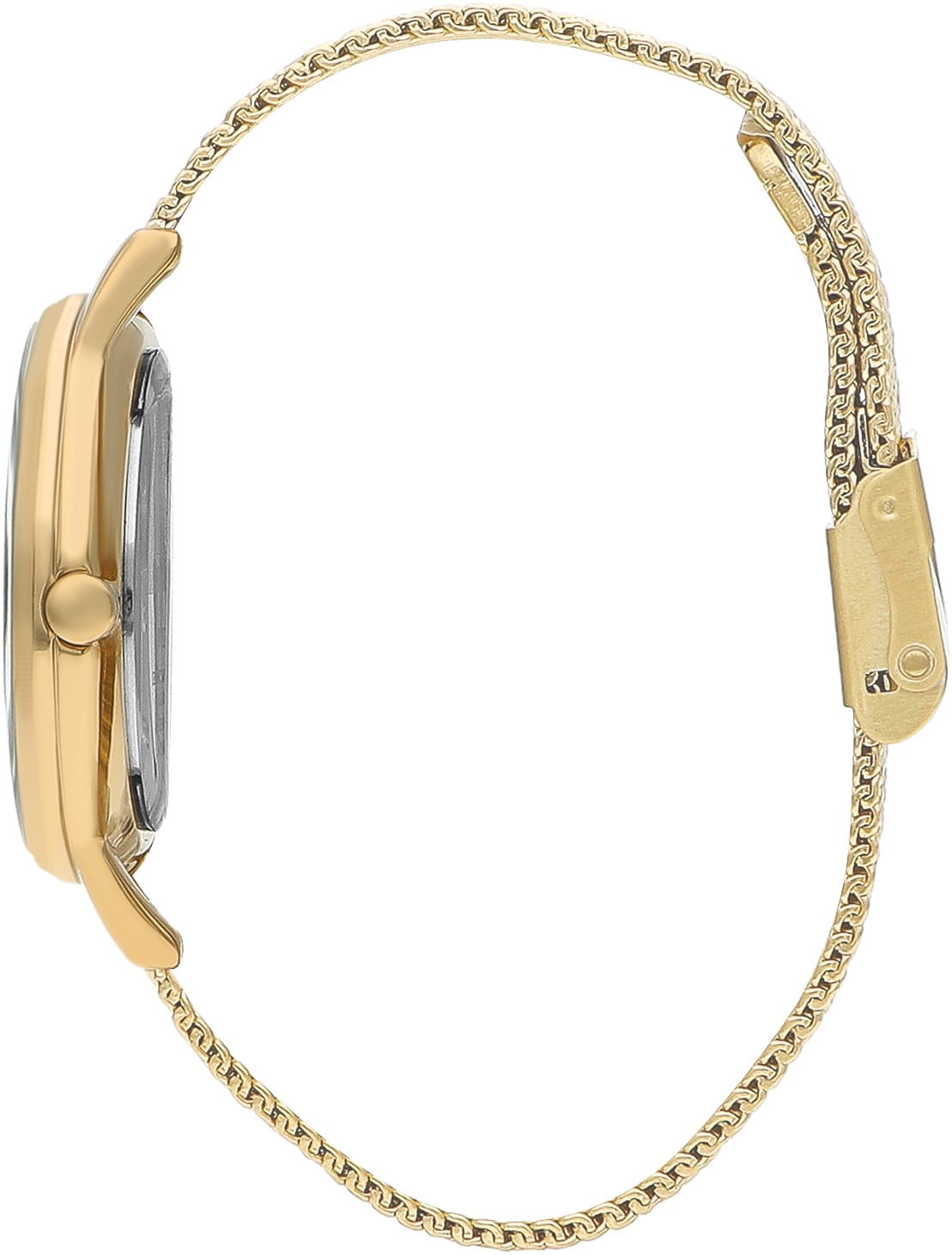 Beverly Hills Polo Club Beverly Hills Polo Club BP3394C.170,  сша женские часы на браслете нержавеющая сталь с ip-покрытием боковой вид