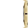 Часы Daniel Wellington Petite Evergold DW00100346 фото 4