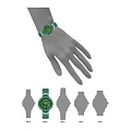 Оригинальные часы Anne Klein Anne Klein 4036GMGN кварцевые калибр механизма  общий вид