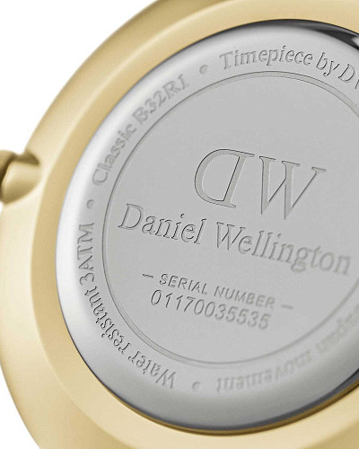 Daniel Wellington Petite Evergold DW00100347