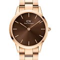 Часы Daniel Wellington Iconic Link Amber DW00100460