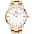 Часы Daniel Wellington Iconic Link DW00100343