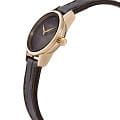 Rado Rado Coupole R22891935 кварцевые женские часы часы крупный план коричневый циферблата