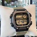 Casio DW-291HX-5A