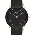 Часы Daniel Wellington Iconic Motion DW00100425