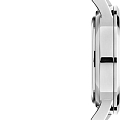 Часы Daniel Wellington Iconic Link DW00100539 фото 4