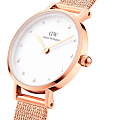 Часы Daniel Wellington Petite DW00100529 фото 3