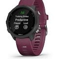 Garmin Garmin Forerunner 245 010-02120-11 мужские часы цветной циферблат на запястье