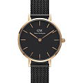 Часы Daniel Wellington Petite Ashfield DW00100245