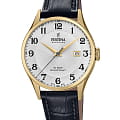 Festina Festina Classics F20010/1  F20010/1 кварцевые мужские часы  серебристый циферблат, браслет кожаный — вид спереди